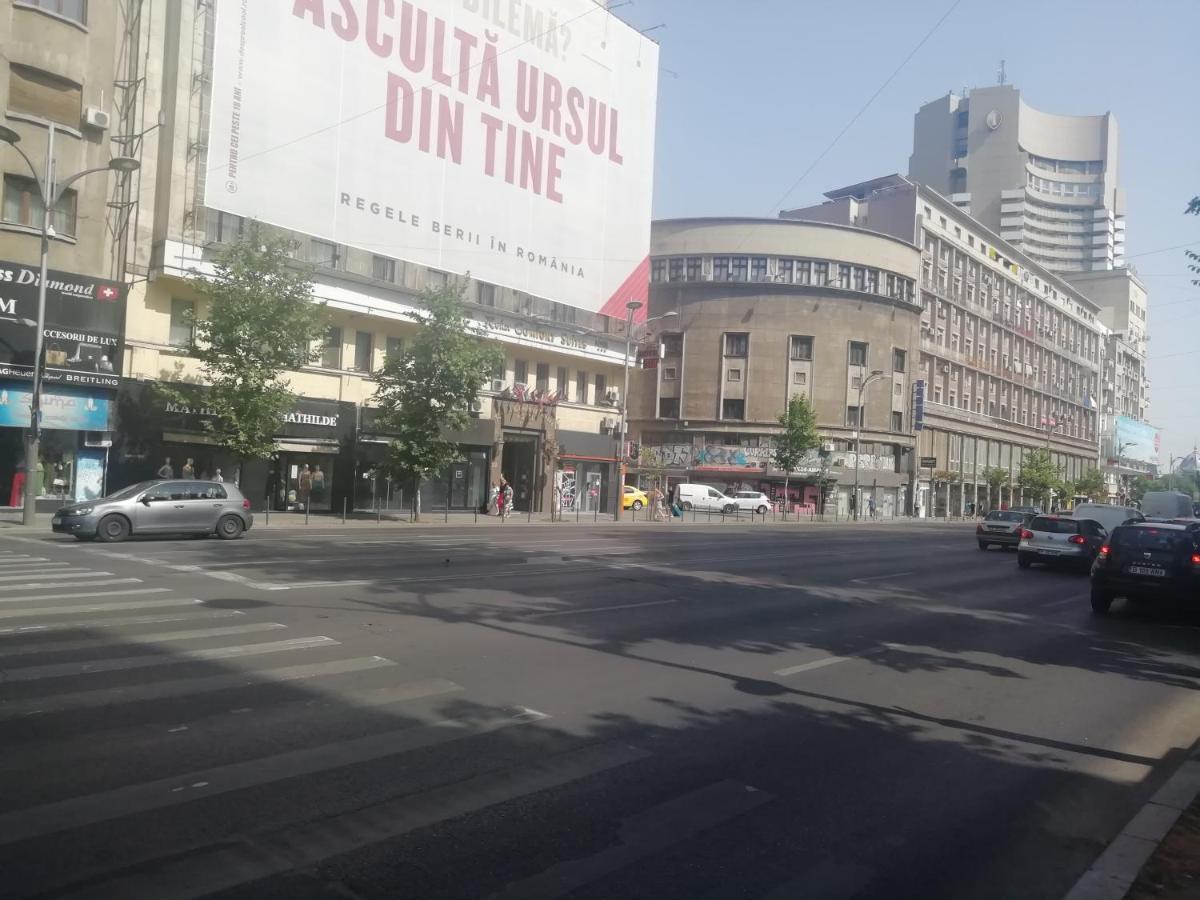 Studio Ultracentral Universitatea Bucureşti Ngoại thất bức ảnh