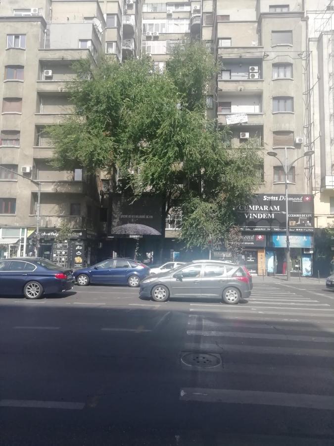 Studio Ultracentral Universitatea Bucureşti Ngoại thất bức ảnh